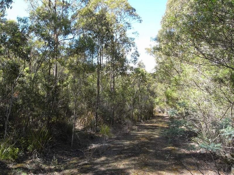 Lot 1 Phipps Road, Runnymede TAS 7190