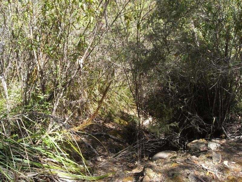 Lot 1 Phipps Road, Runnymede TAS 7190