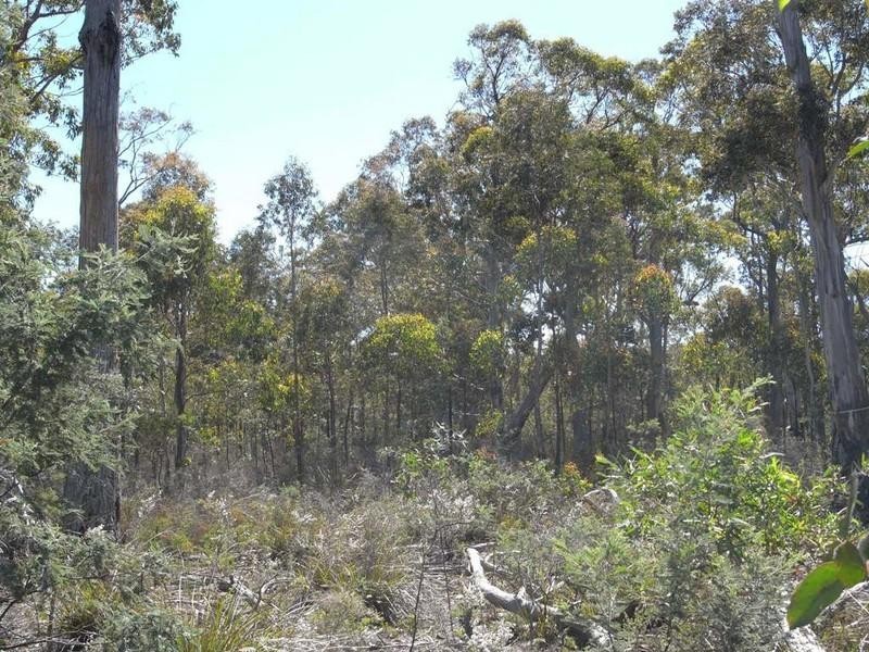Lot 1 Phipps Road, Runnymede TAS 7190