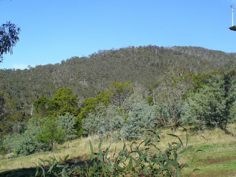 Berriedale TAS 7011