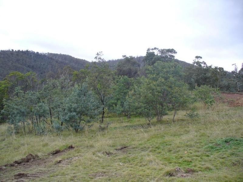 Berriedale TAS 7011