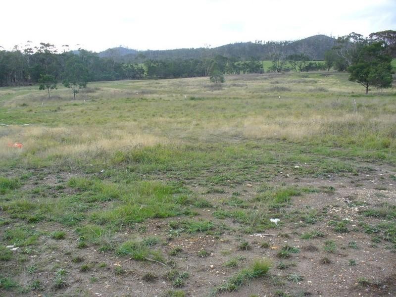 Lot 80 Cavenor Drive, Oakdowns TAS 7019