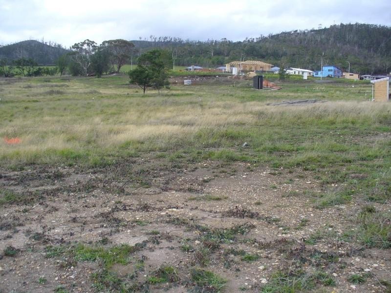 Lot 80 Cavenor Drive, Oakdowns TAS 7019