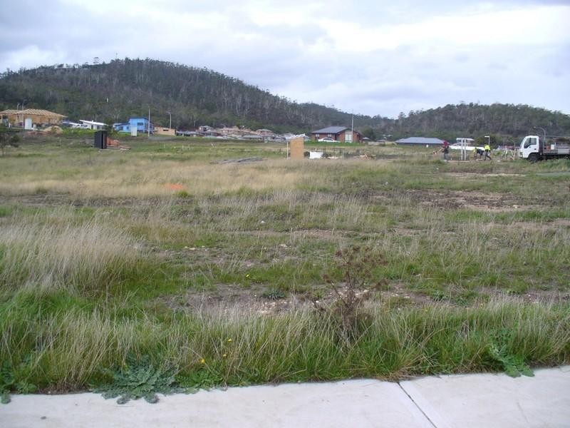 Lot 80 Cavenor Drive, Oakdowns TAS 7019