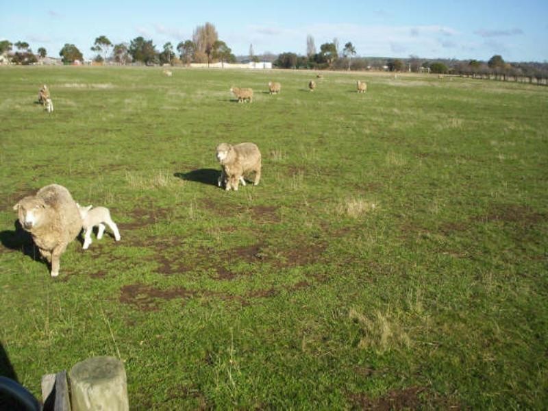 15 Franklin Street, Campbell Town TAS 7210