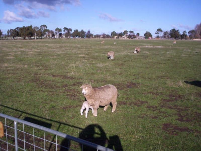 15 Franklin Street, Campbell Town TAS 7210