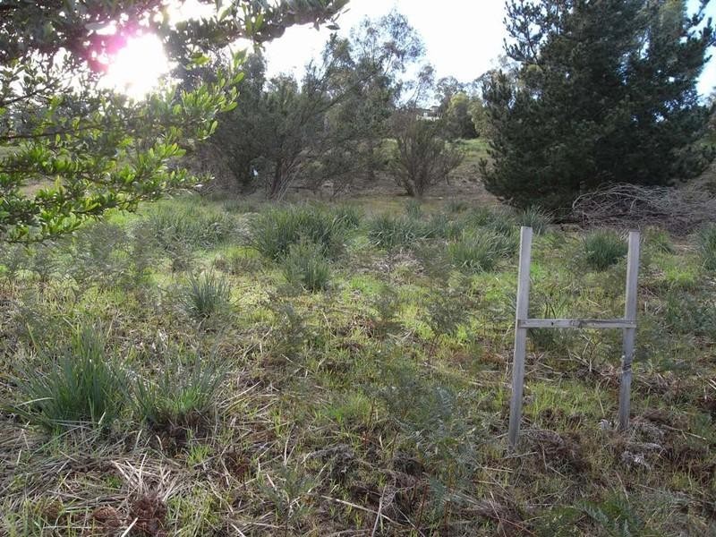 14 Sandstone Place, Old Beach TAS 7017