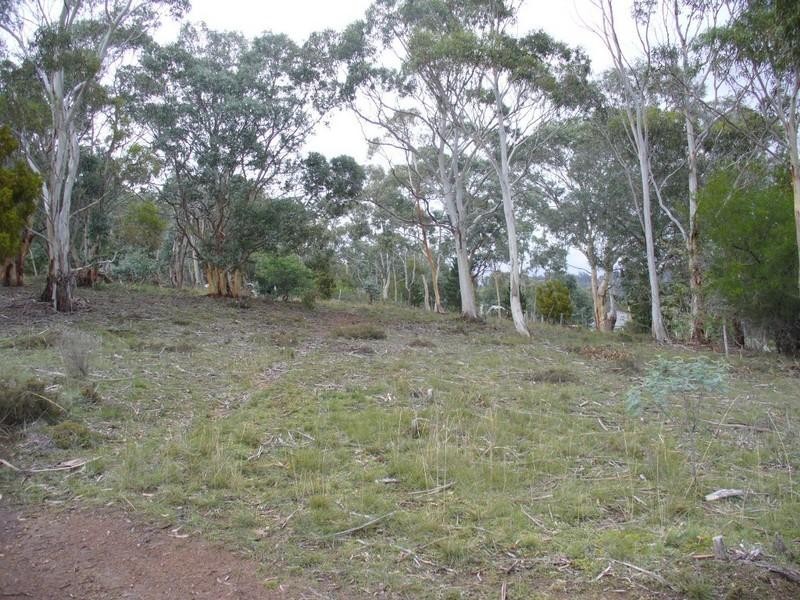 Berriedale TAS 7011