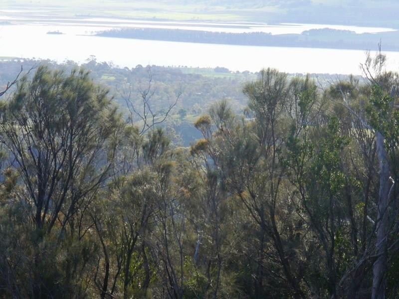 Old Beach TAS 7017