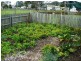 25 Vickery Street, Triabunna TAS 7190