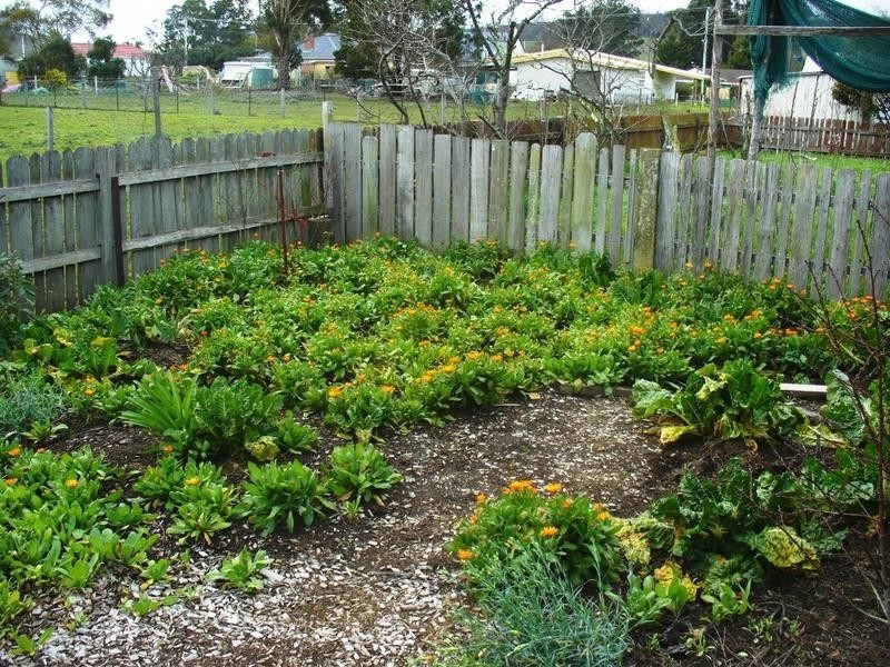 25 Vickery Street, Triabunna TAS 7190