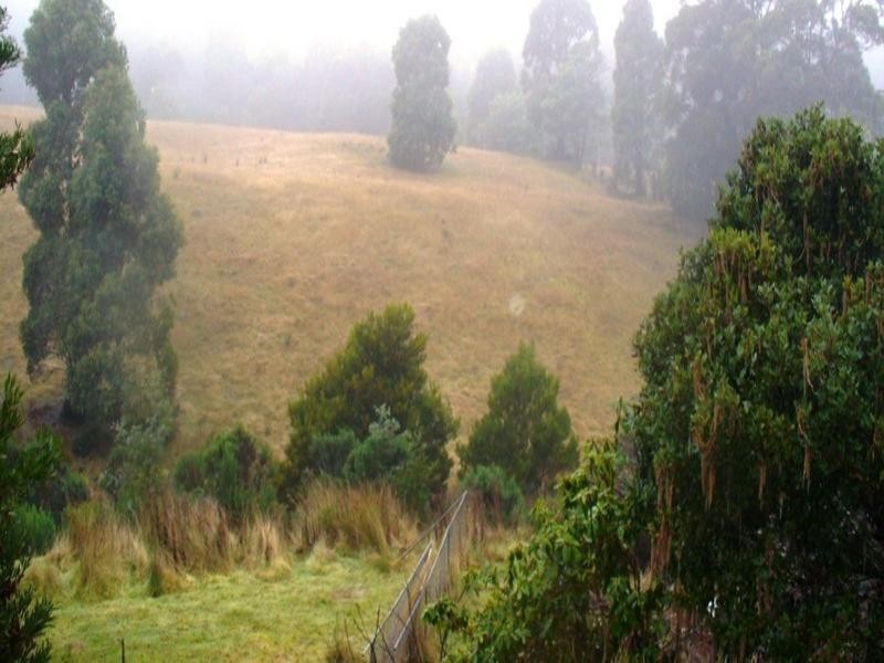 1610 Woodsdale Road, Levendale TAS 7120
