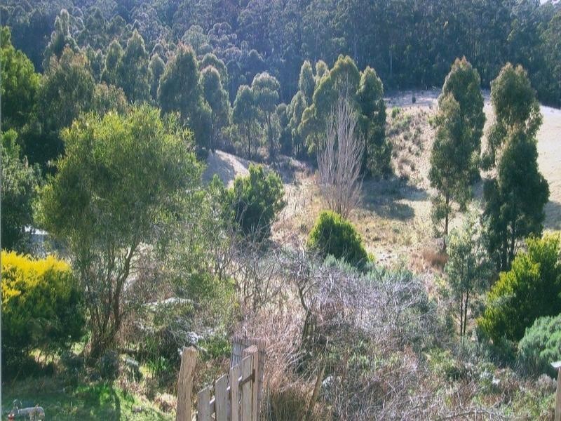1610 Woodsdale Road, Levendale TAS 7120