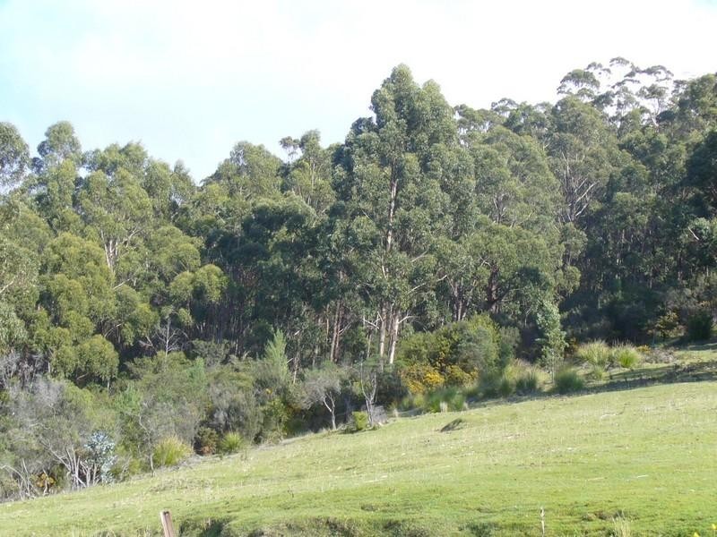 1217 Russell Street, Gordon TAS 7150