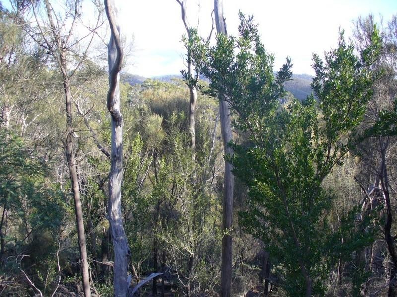 Lot 2 128 Canopus Road, Mount Rumney TAS 7170