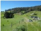 0 Wattle Grove Road, Wattle Grove TAS 7109