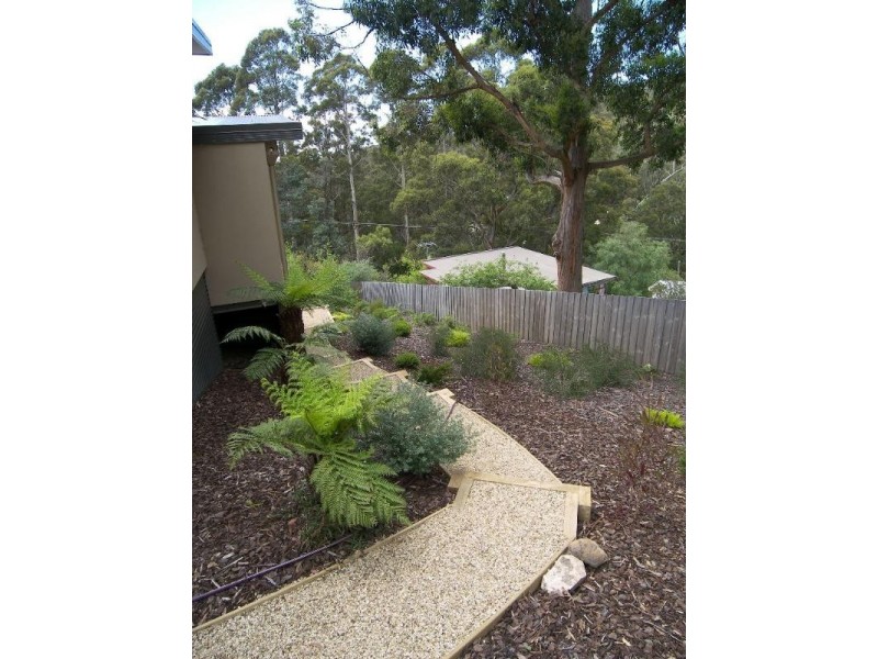 3/180 Strickland Avenue, South Hobart TAS 7004