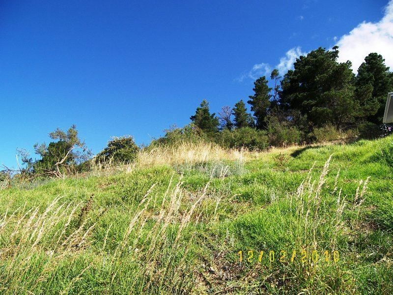 420 Huon Road, South Hobart TAS 7004