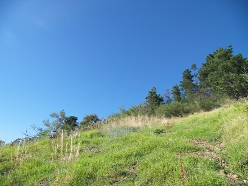 420 Huon Road, South Hobart TAS 7004