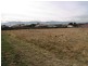 Brighton TAS 7030