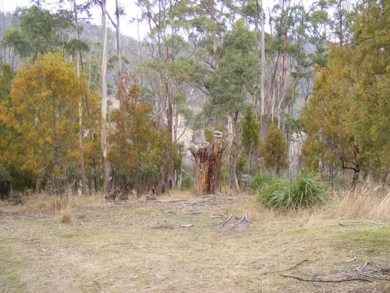 Lot 1 Collins Cap Road, Molesworth TAS 7140