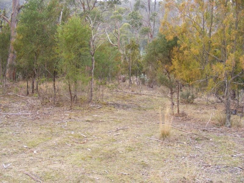 Lot 1 Collins Cap Road, Molesworth TAS 7140