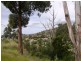 21 Lowrie Place, Glenorchy TAS 7010