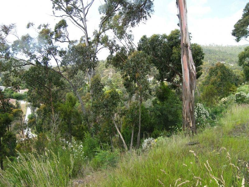 21 Lowrie Place, Glenorchy TAS 7010