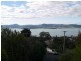 21 Ascot Avenue, Sandy Bay TAS 7005