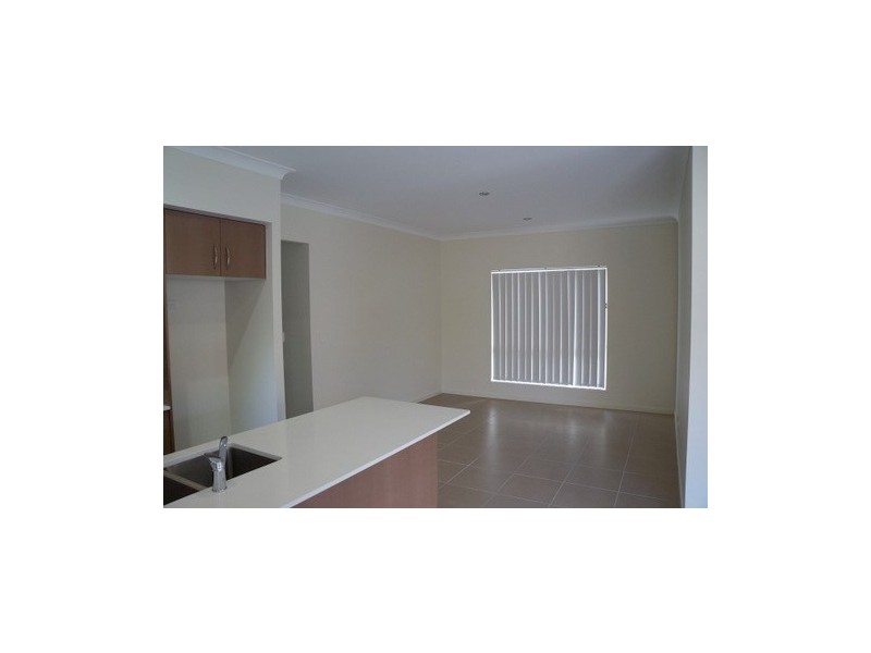 46 Parklands Drive, Springfield Lakes QLD 4300