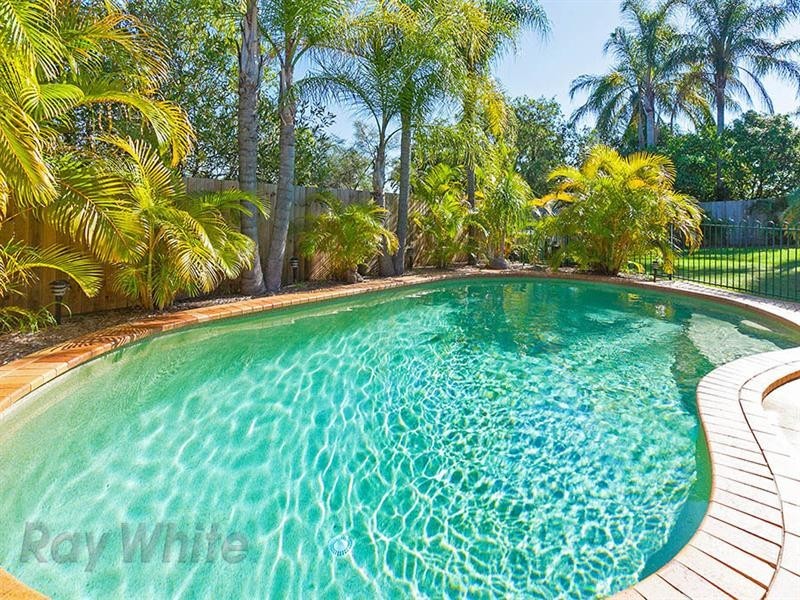 4 Kale Street, Springfield QLD 4300