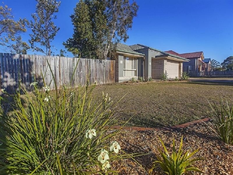 11 Gila Place, Springfield QLD 4300