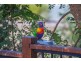 28 Dillon Avenue, Augustine Heights QLD 4300