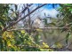 28 Dillon Avenue, Augustine Heights QLD 4300