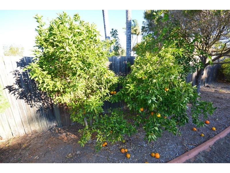 42 Sharpless Road, Springfield QLD 4300