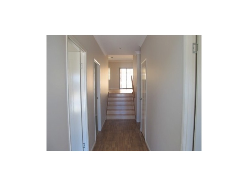 17 Hyssop Place, Springfield Lakes QLD 4300