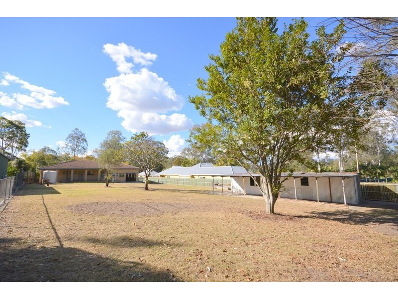 19 Langley Road, Camira QLD 4300