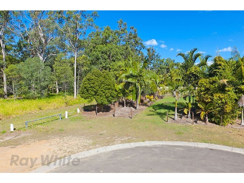 133 Cochrane Street, Camira QLD 4300