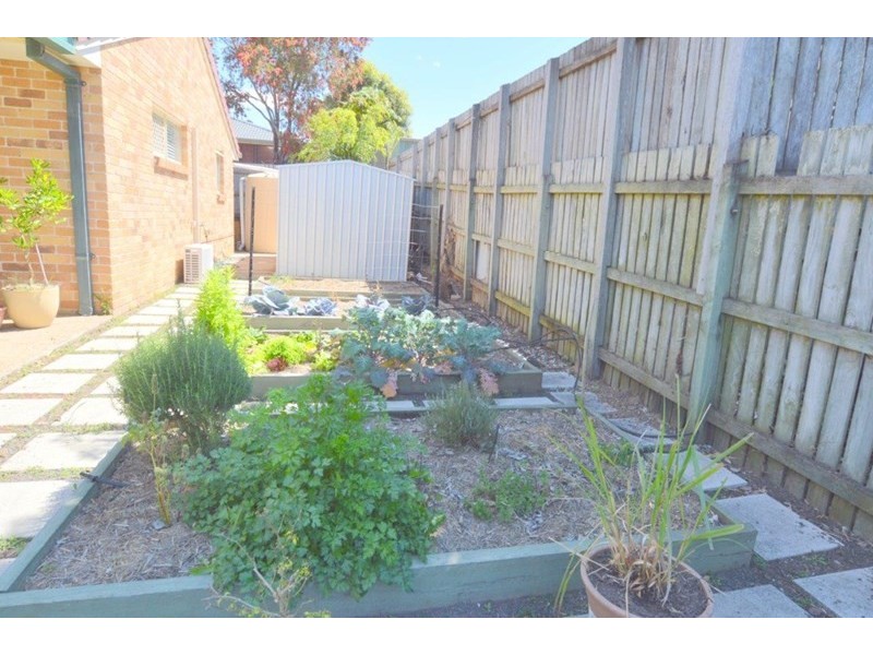 12 Ivy Street, Springfield QLD 4300