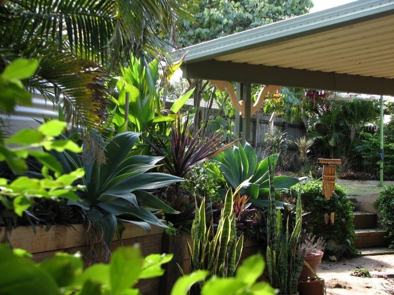 Springfield QLD 4300