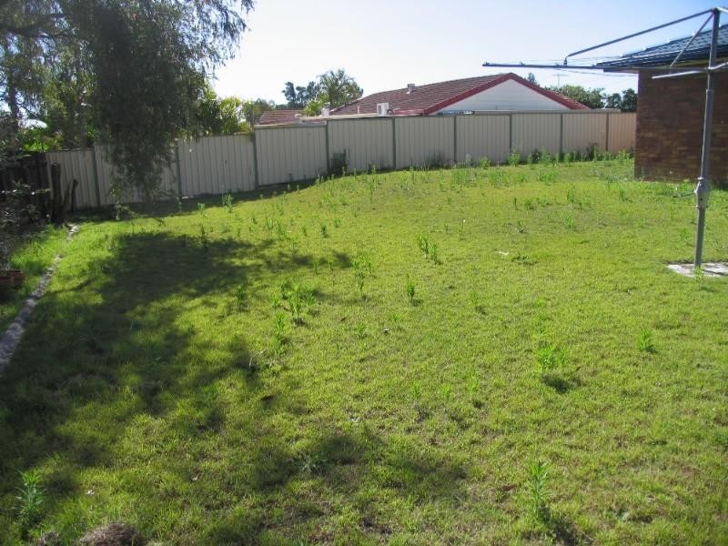 Camira QLD 4300