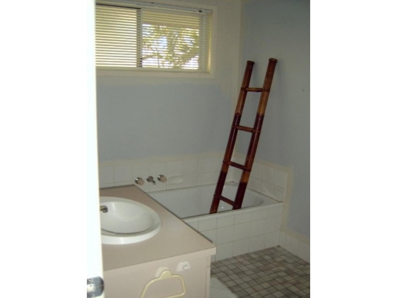 19 Woodbine Avenue, Camira QLD 4300