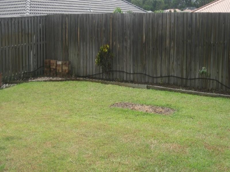 25 Ellen Circuit, Springfield Lakes QLD 4300