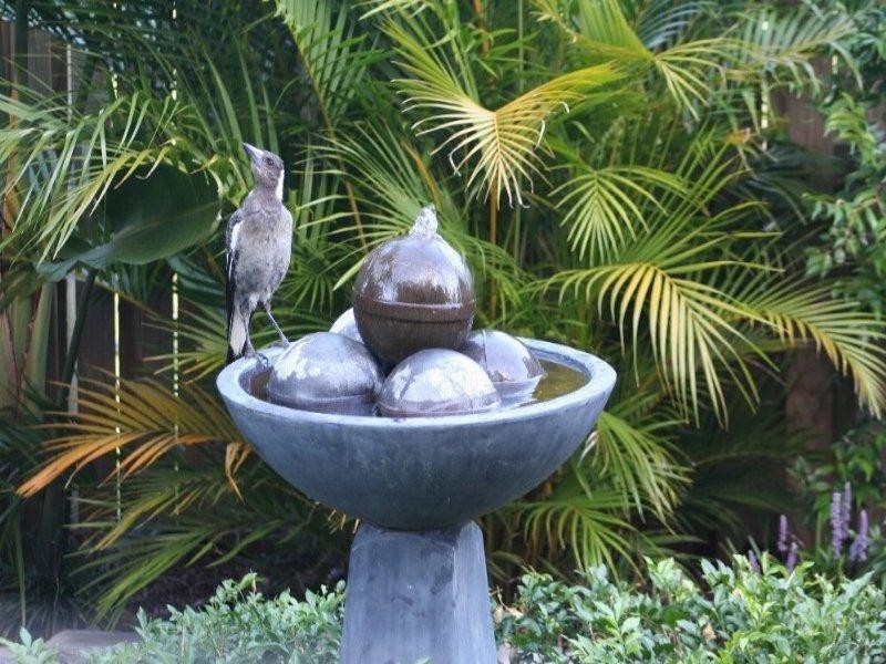 Springfield Lakes QLD 4300