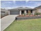 Springfield Lakes QLD 4300