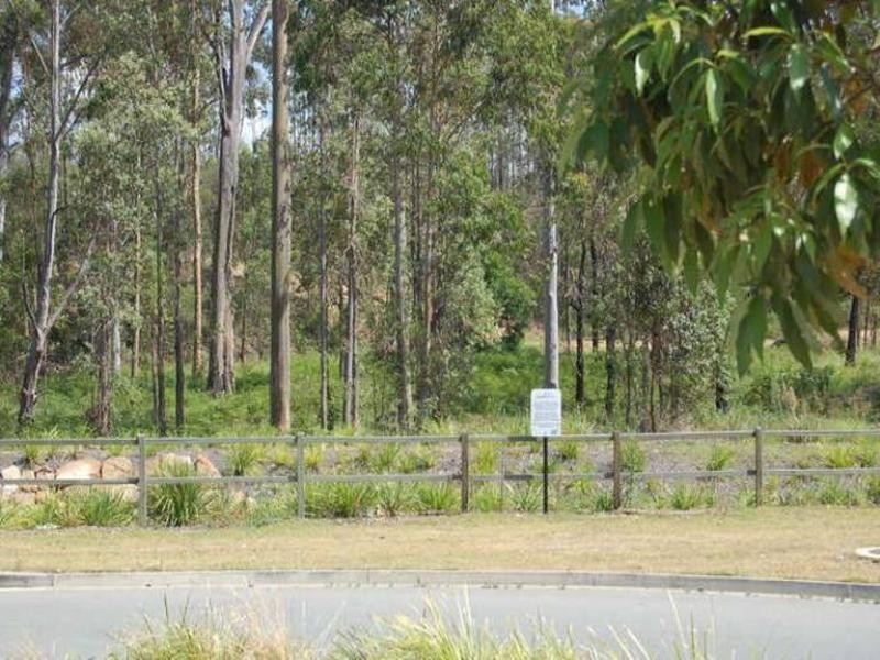 On Elmwood Circuit, Springfield Lakes QLD 4300