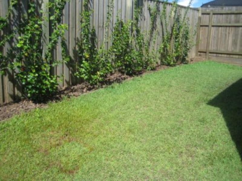 8 Parkview Drive, Springfield Lakes QLD 4300