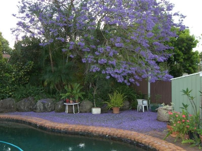 Camira QLD 4300