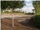 166 Alawoona Street, Redbank Plains QLD 4301