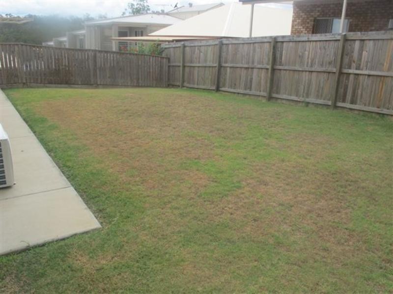 On Driftwood Place, Springfield Lakes QLD 4300